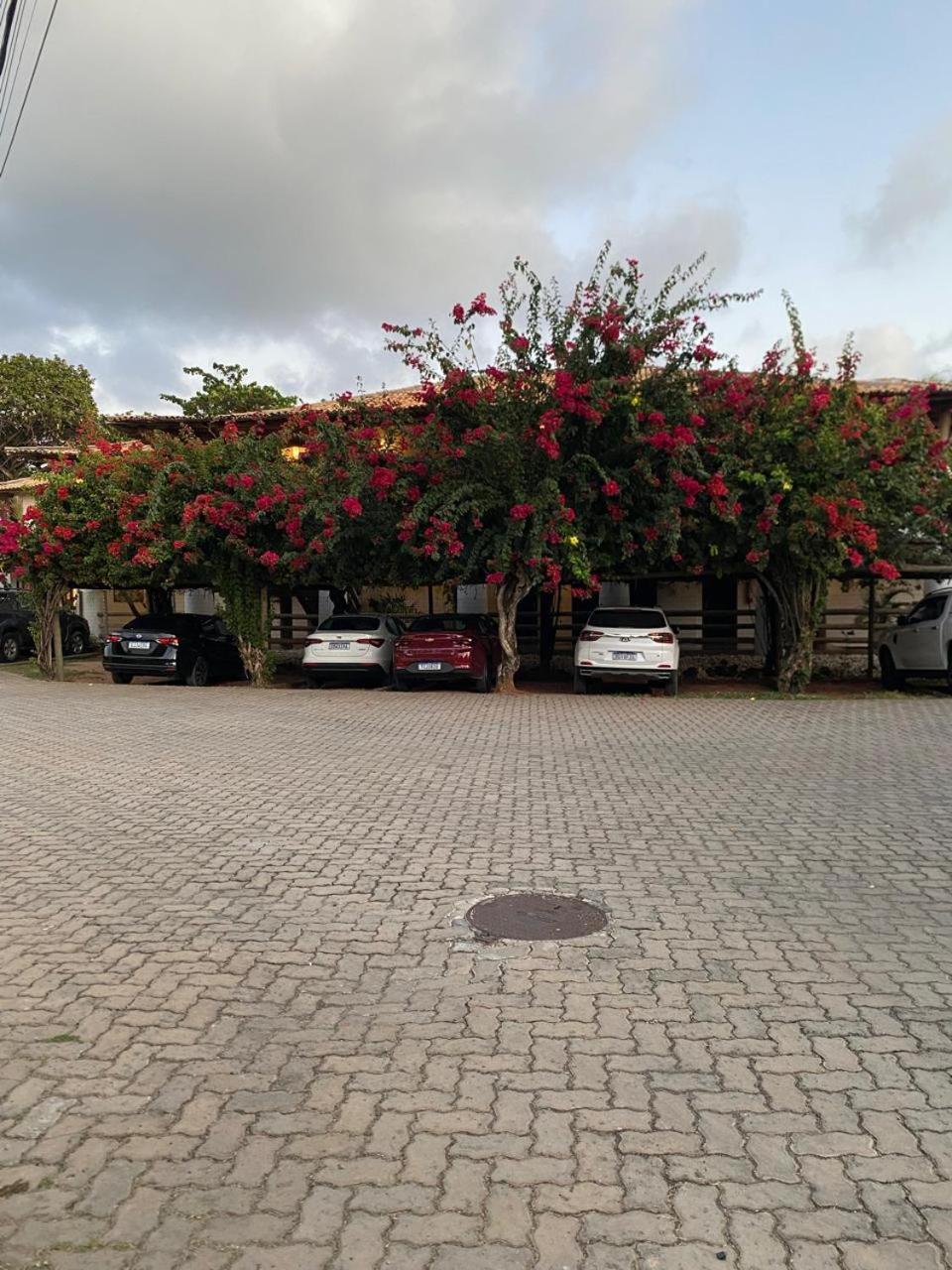 פראיה דו פורטה Pousada Farol Das Tartarugas מראה חיצוני תמונה